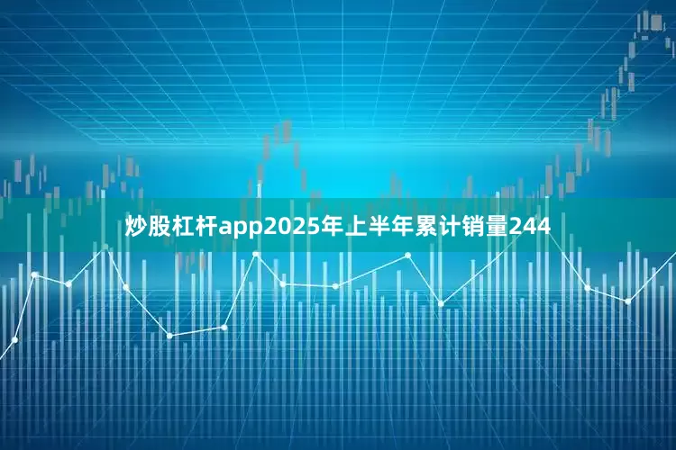 炒股杠杆app2025年上半年累计销量244