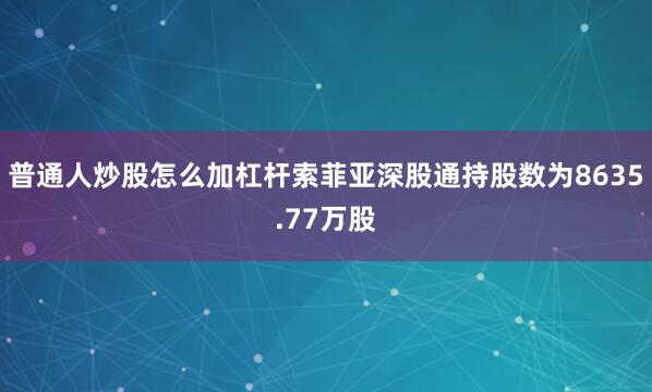 普通人炒股怎么加杠杆索菲亚深股通持股数为8635.77万股